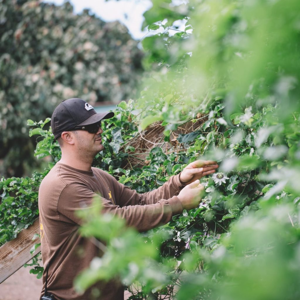 Garden Variety ʻAlohilani